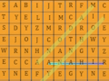 Gioco Ricerca di parole html5  in linea
