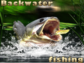Gioco Pesca nelle acque stagnanti  in linea