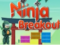 Gioco Fuga Ninja  in linea