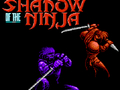 Gioco L'ombra del Ninja  in linea