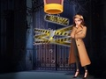 Gioco Il detective degli spilli  in linea