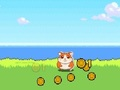 Gioco Clicker per criceti Kombat  in linea
