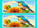 Gioco Trova la differenza Il giardino  in linea