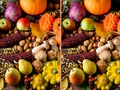 Gioco Qual è la differenza?  in linea