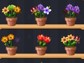 Gioco Buon Maestro dei Fiori  in linea