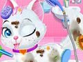 Gioco Cura veterinaria per cuccioli di animali domestici  in linea