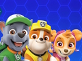 Gioco Paw Patrol in linea