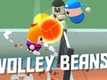 Gioco Fagioli di pallavolo  in linea