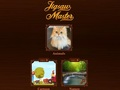 Gioco Maestro del puzzle  in linea