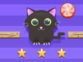 Gioco Sfida del gatto  in linea
