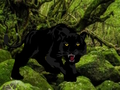 Gioco Fuga dalla foresta della Pantera Nera  in linea