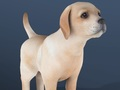 Gioco Animale domestico IDLE  in linea