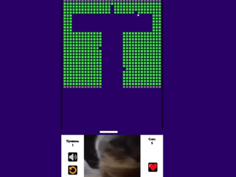 Gioco BRICK BRUCKER Chipi Chipi Chapa Chapa Cat in linea