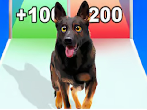 Gioco Corsa all'evoluzione del cane  in linea
