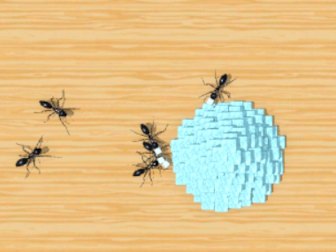 Gioco Schiaccia formiche 3D  in linea