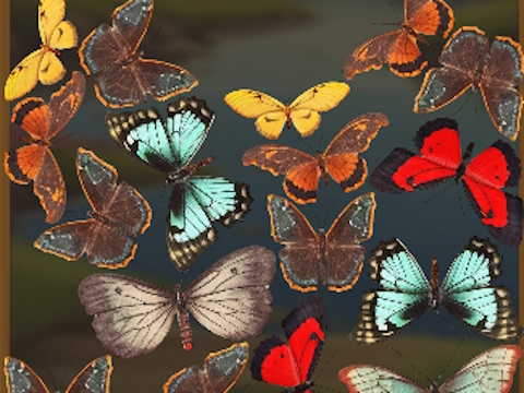 Gioco Mergebuterfly: 2048! in linea