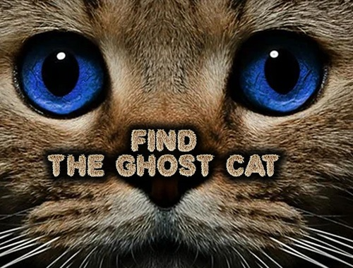 Gioco Trova il gatto fantasma  in linea