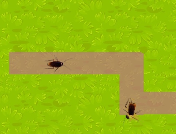 Gioco Frantoio per insetti  in linea