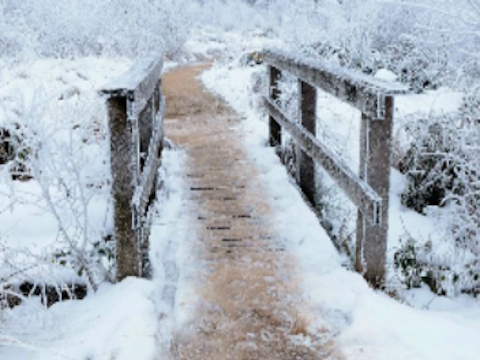 Gioco Bridge Winter Snowtent  in linea