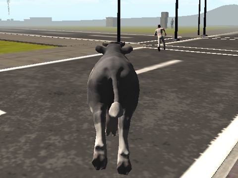 Gioco Crazy Bull City  in linea