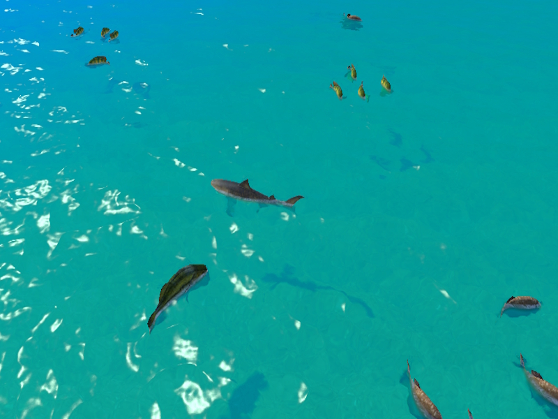Gioco Hungry Shark Hunt in linea
