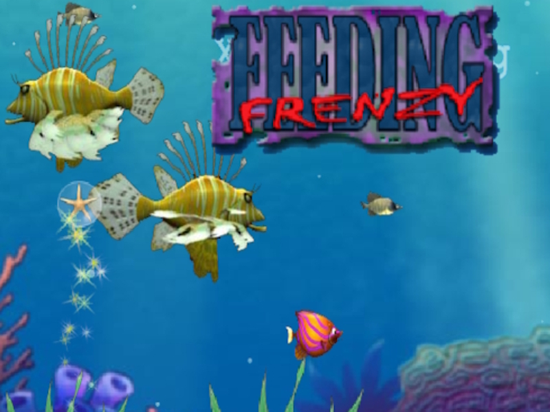 Gioco Nutrire la frenesia in linea