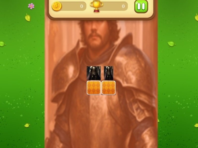 Gioco Knight Memory Match Game in linea