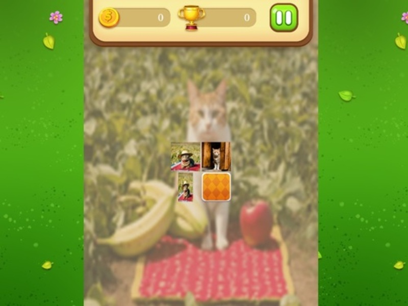 Gioco Farm Cat Memory Match in linea
