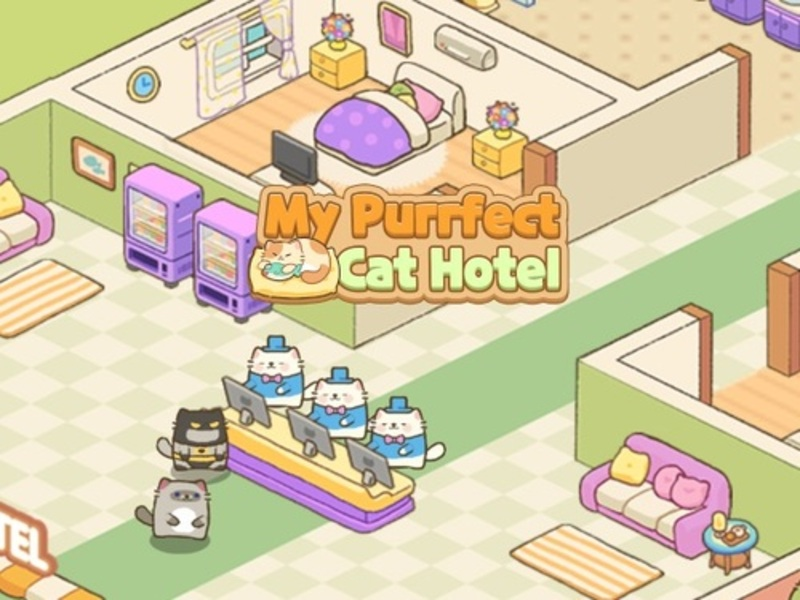 Gioco Il mio hotel per gatti purificanti in linea