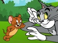 Gioco Tom e Jerry Atv Adventure  in linea