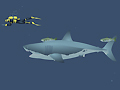 Gioco Mad Shark  in linea