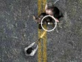 Gioco Undead Highway in linea