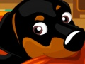 Gioco Il mio dolce cane  in linea