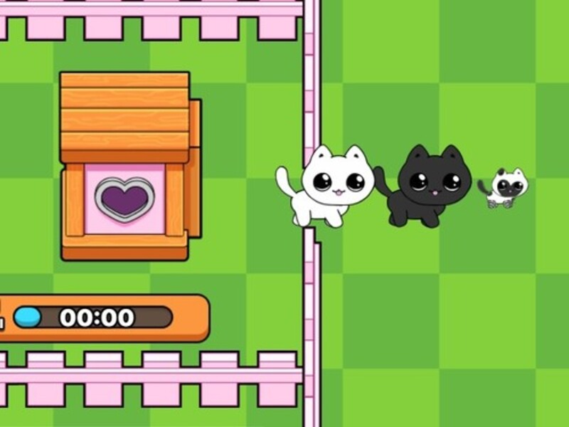 Gioco I miei gattini. Catworld in linea