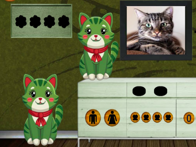 Gioco Trova il curioso gatto strano in linea
