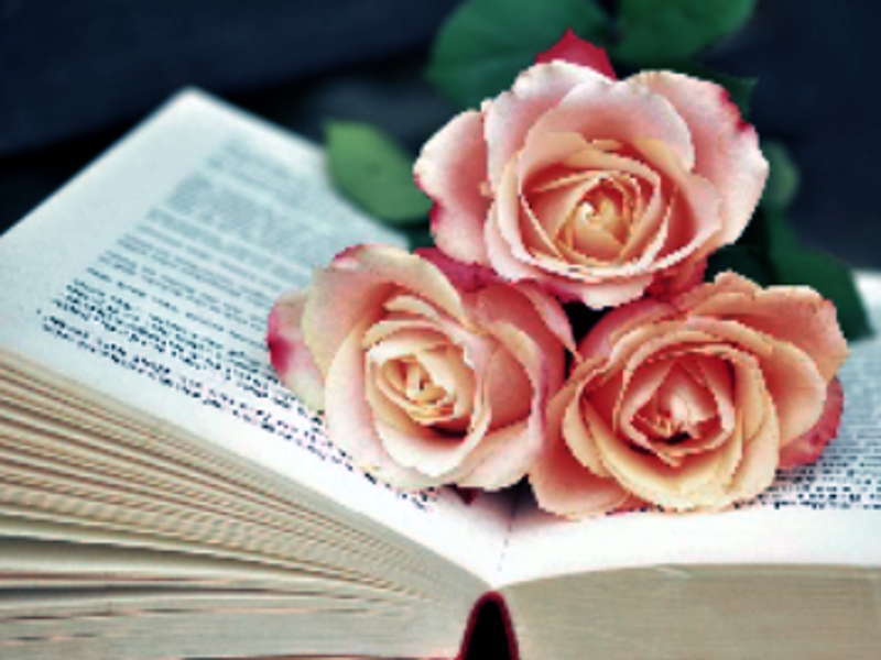 Gioco Libro di Blooms Jigsaw in linea
