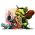 Browser strategia online